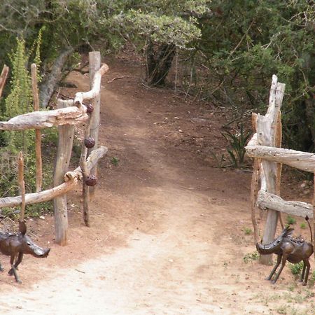 Addo Dung Beetle Guest Farm Villa ภายนอก รูปภาพ