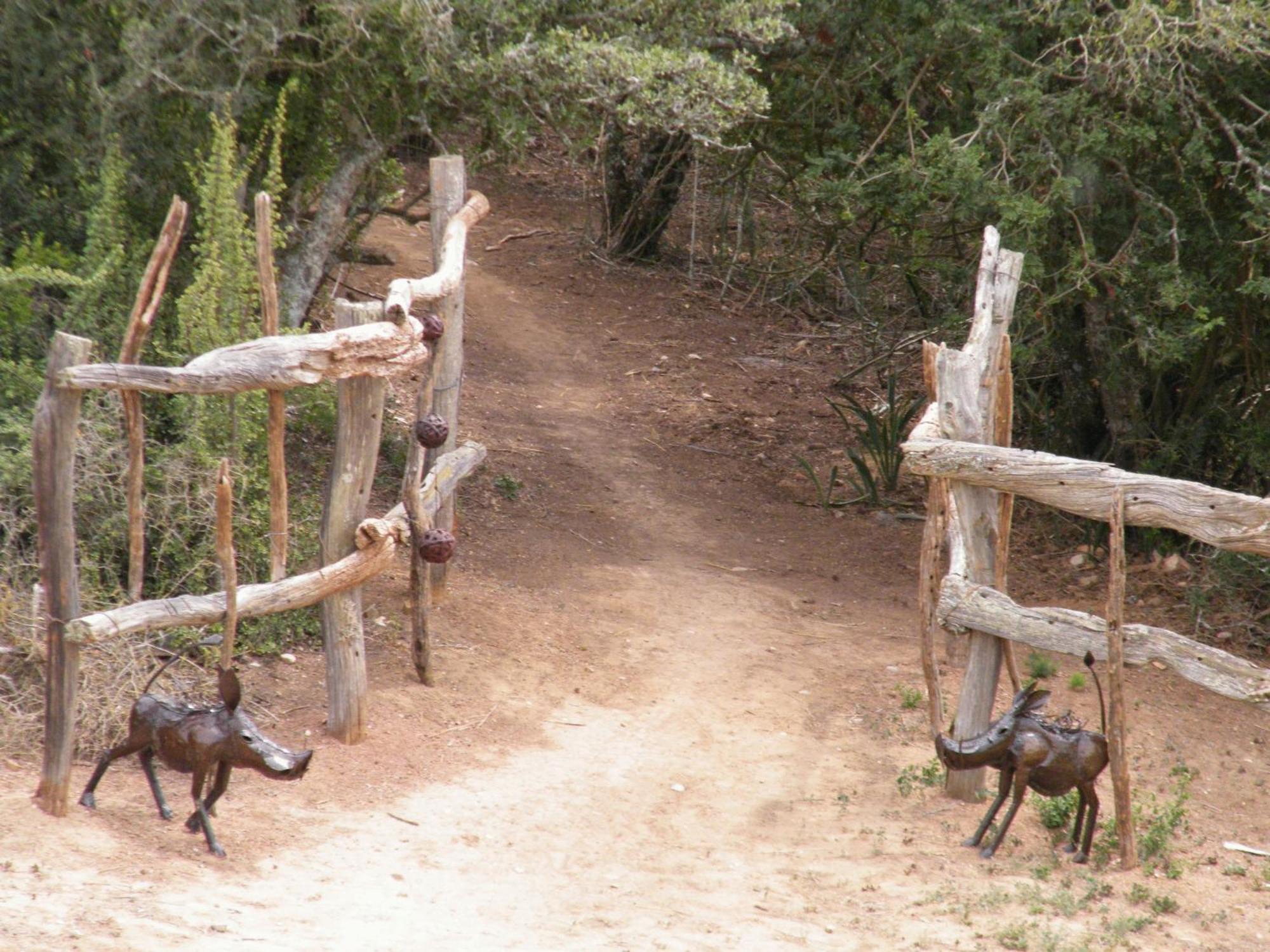 Addo Dung Beetle Guest Farm Villa ภายนอก รูปภาพ