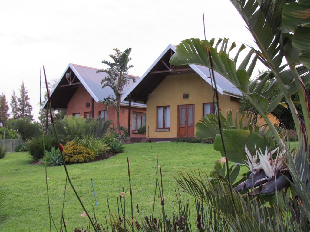 Addo Dung Beetle Guest Farm Villa ห้อง รูปภาพ