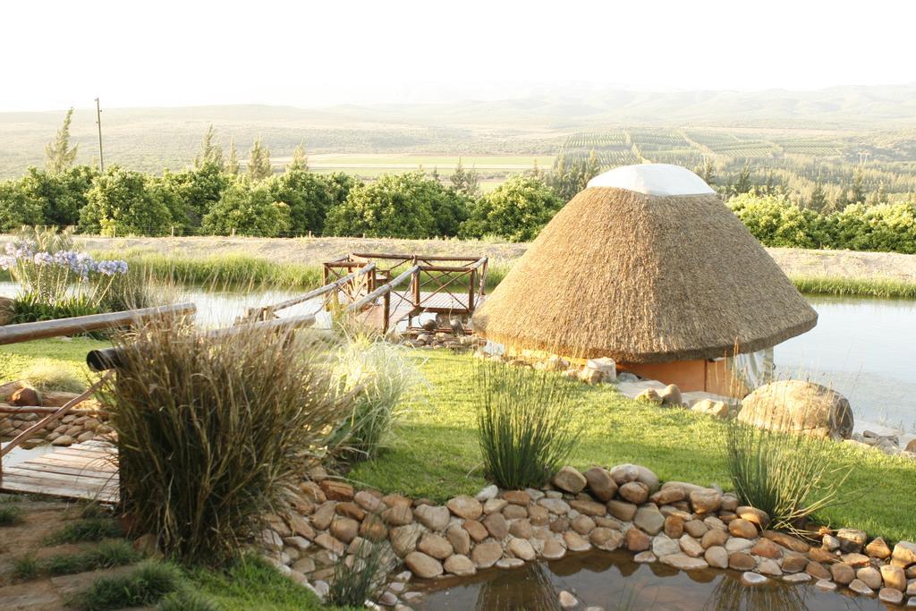 Addo Dung Beetle Guest Farm Villa ภายนอก รูปภาพ