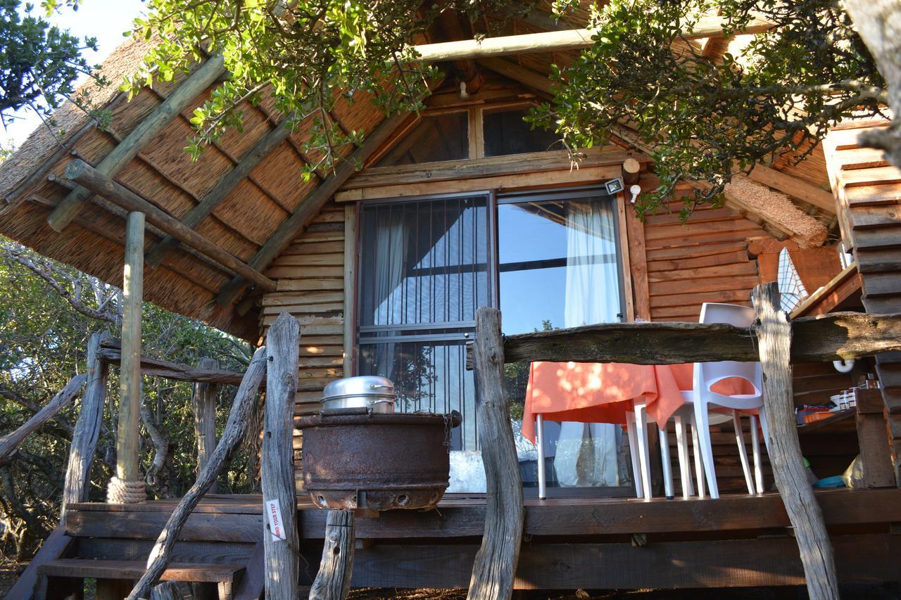 Addo Dung Beetle Guest Farm Villa ภายนอก รูปภาพ