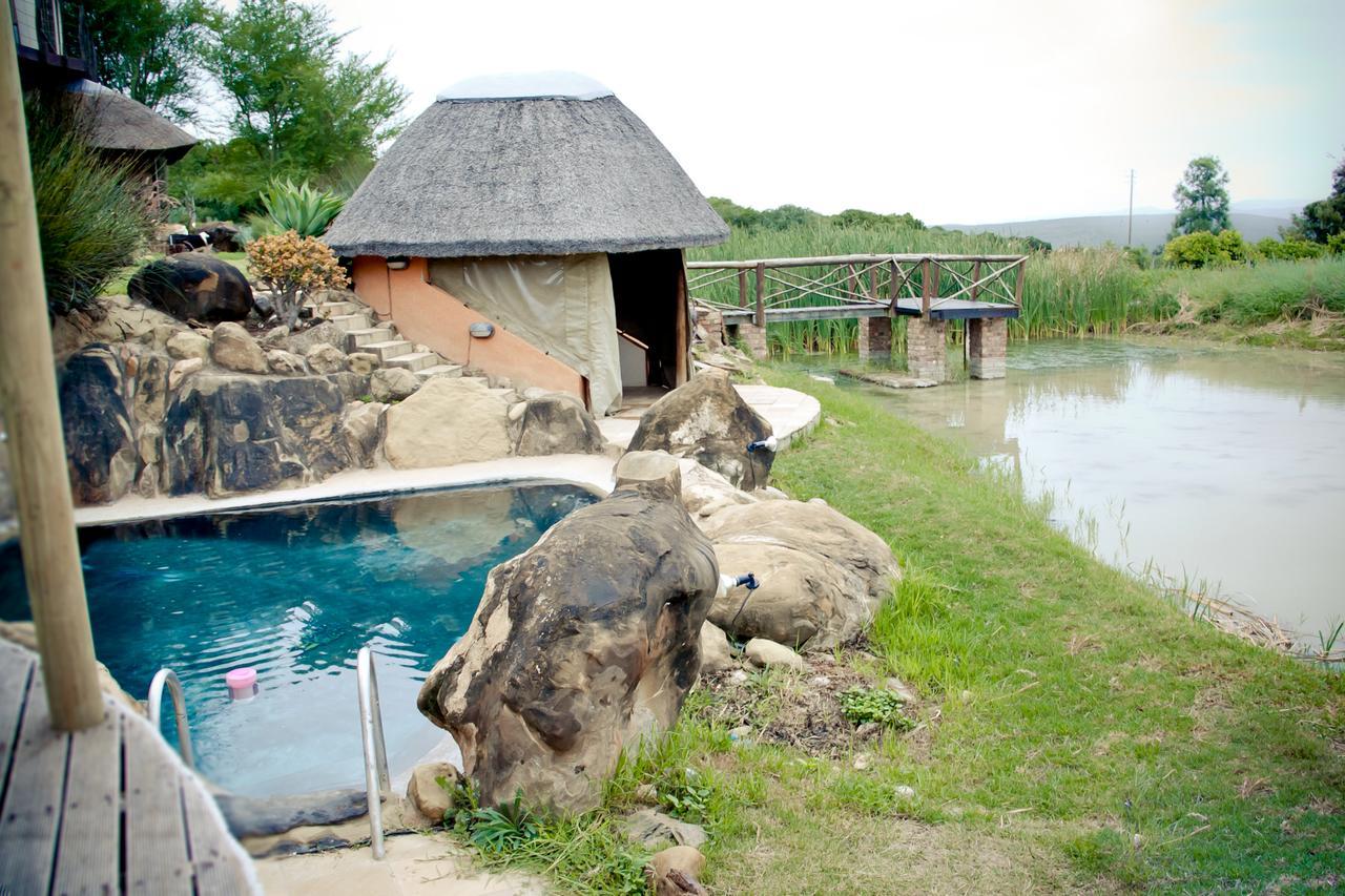 Addo Dung Beetle Guest Farm Villa ภายนอก รูปภาพ