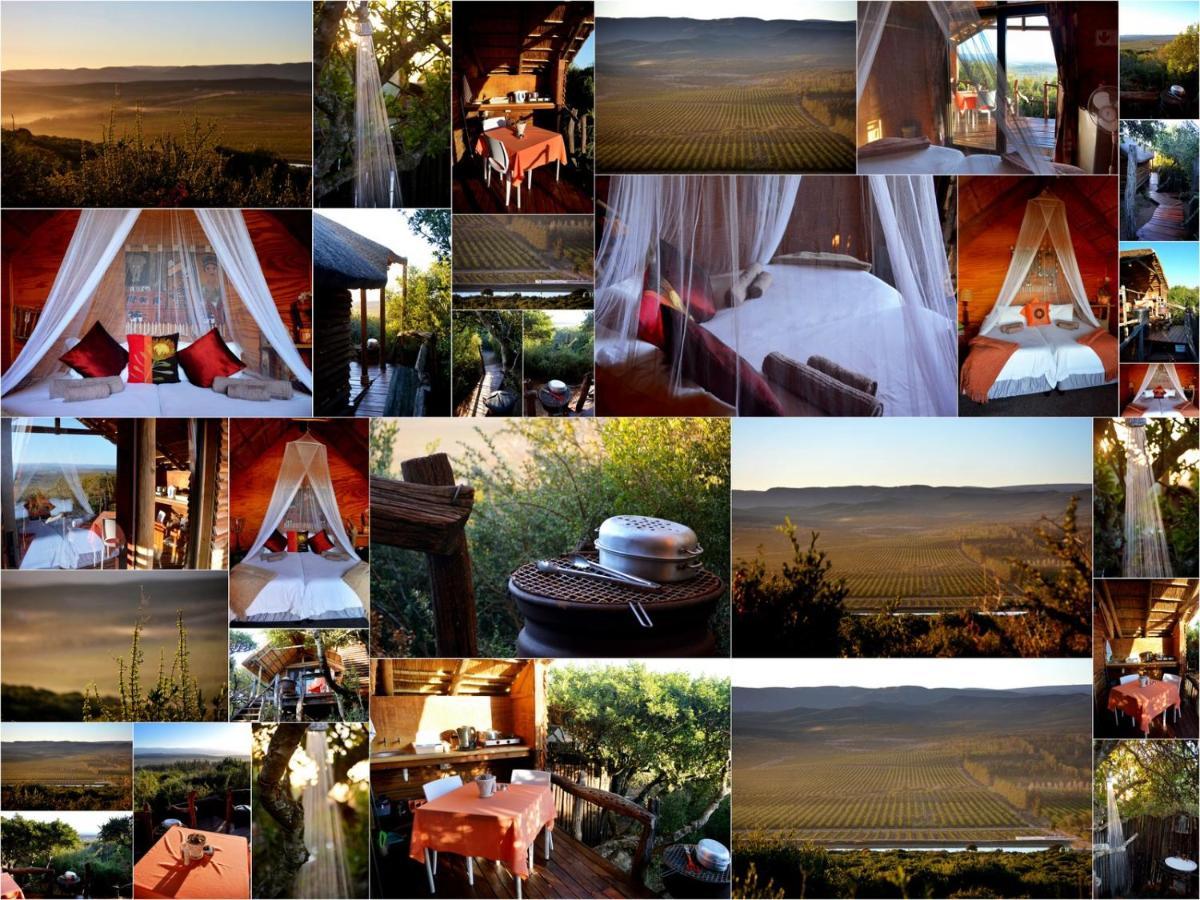 Addo Dung Beetle Guest Farm Villa ภายนอก รูปภาพ
