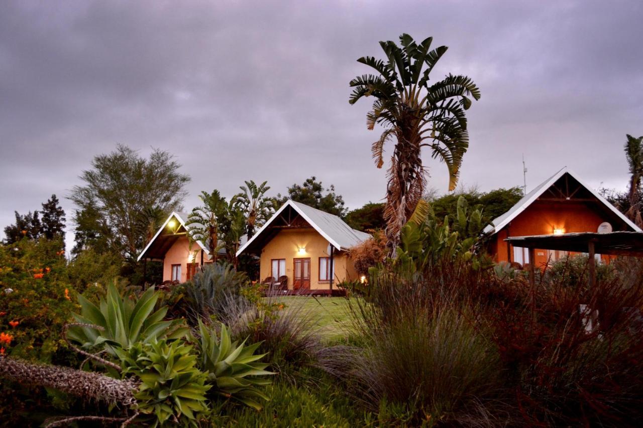 Addo Dung Beetle Guest Farm Villa ภายนอก รูปภาพ