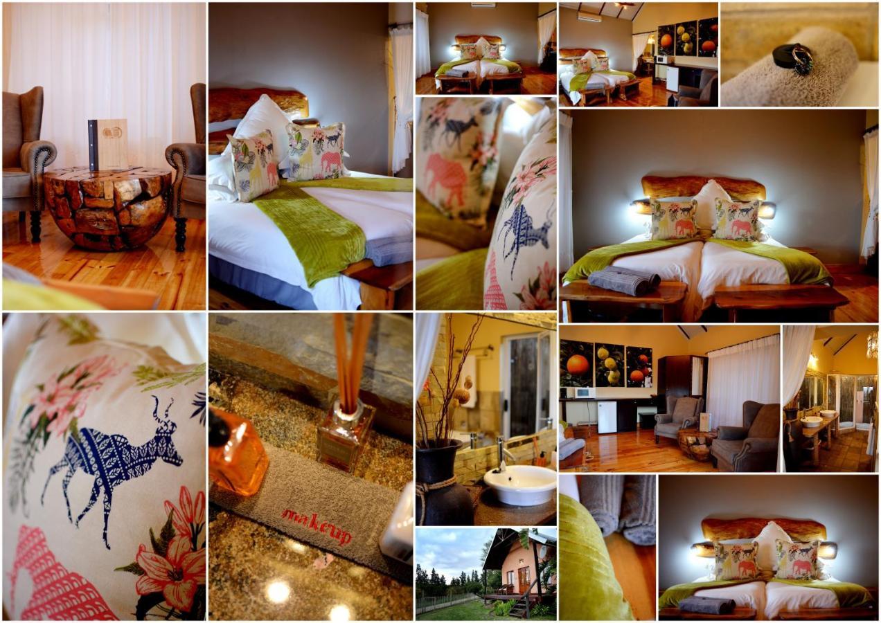 Addo Dung Beetle Guest Farm Villa ภายนอก รูปภาพ