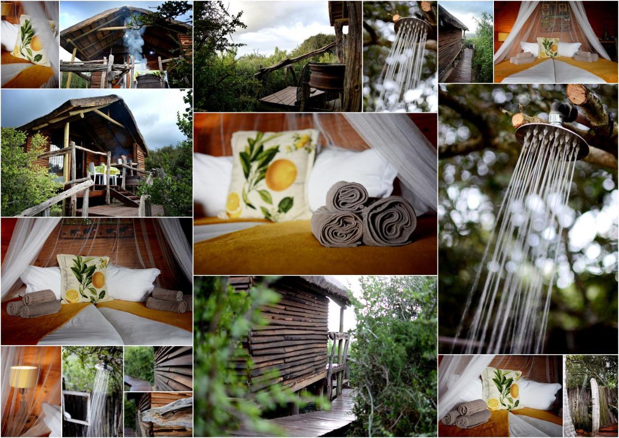 Addo Dung Beetle Guest Farm Villa ภายนอก รูปภาพ