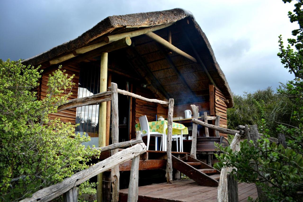 Addo Dung Beetle Guest Farm Villa ภายนอก รูปภาพ