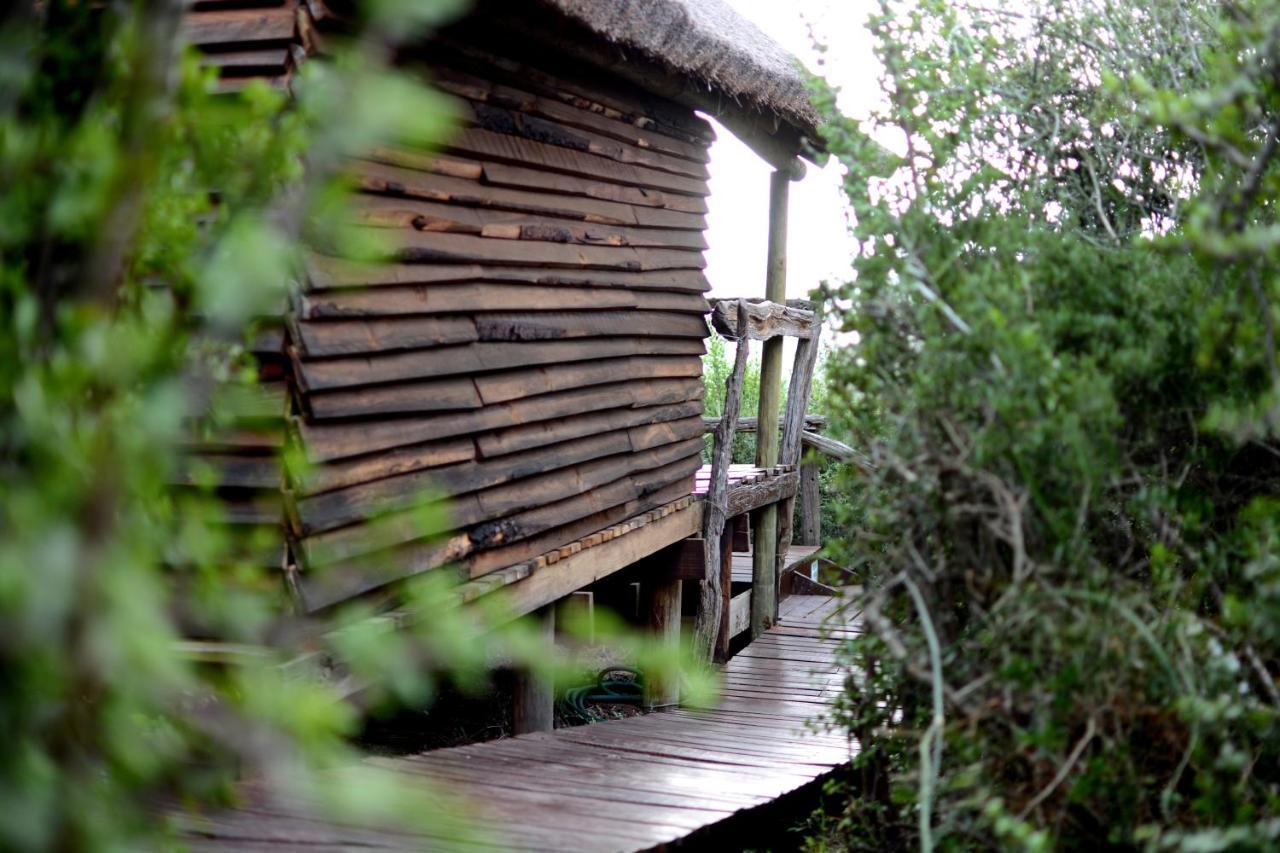 Addo Dung Beetle Guest Farm Villa ภายนอก รูปภาพ