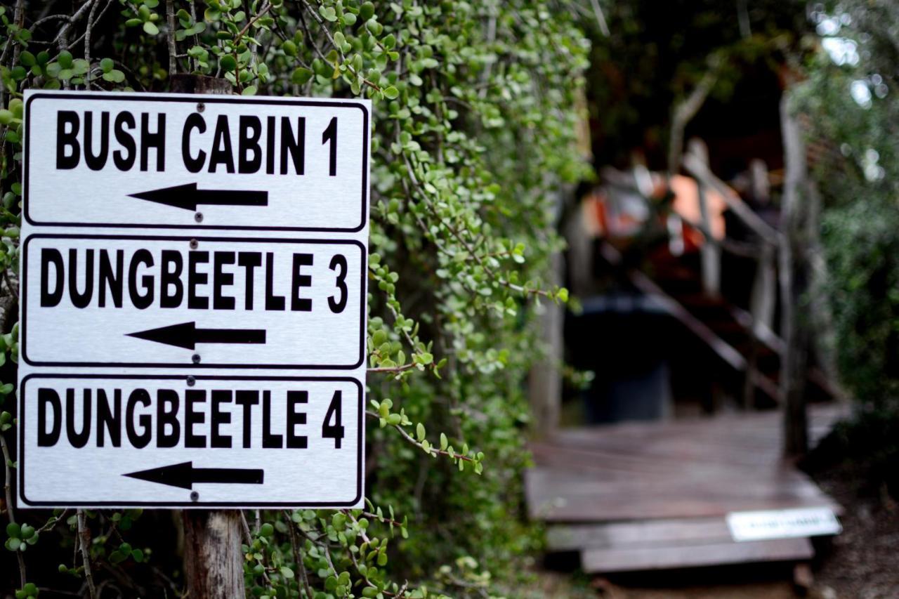 Addo Dung Beetle Guest Farm Villa ภายนอก รูปภาพ